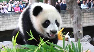 10 лучших зоопарков мира 7
