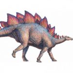 Рисунок профиля (Стегозавр)